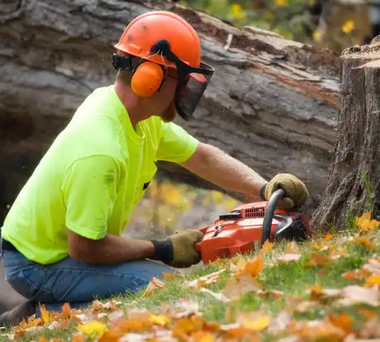 tree services Owatonna